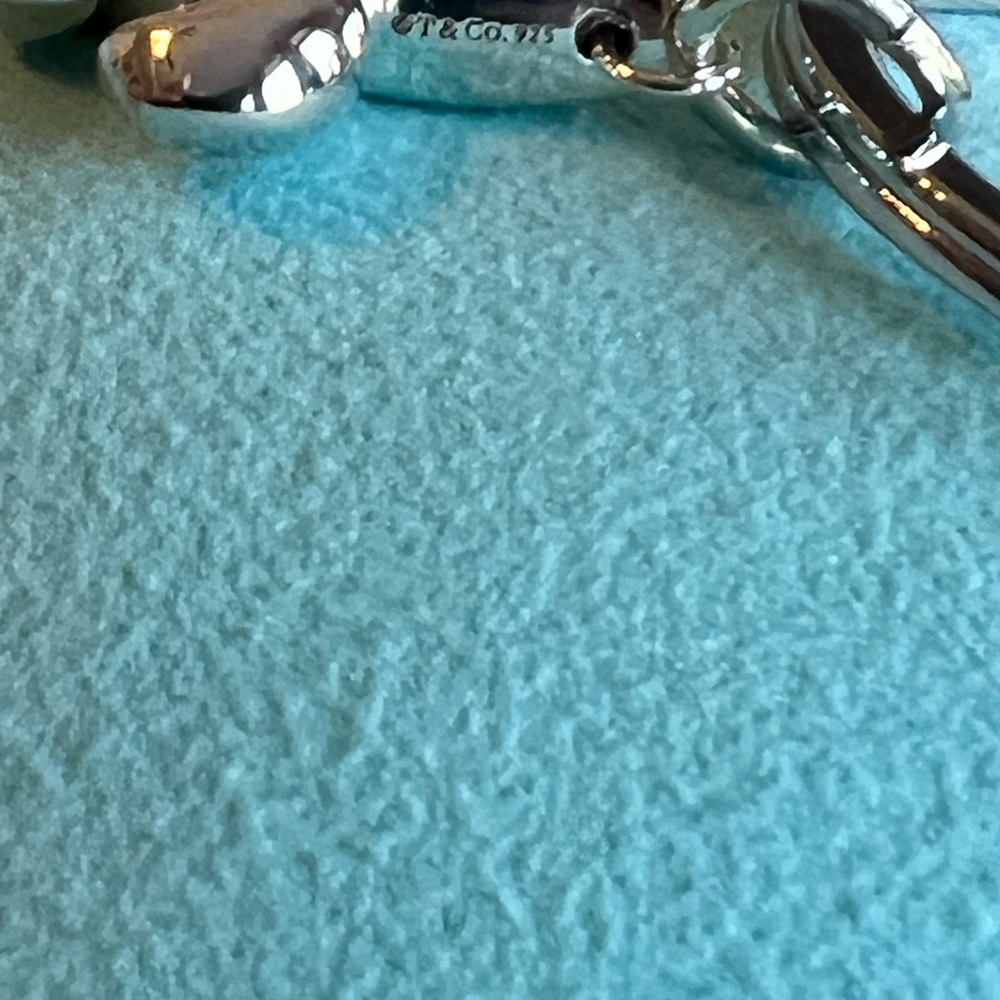 🌸🌸 Authentic Tiffany & Co. RARE Fleur De Lis Keyring - Picture 2 of 10